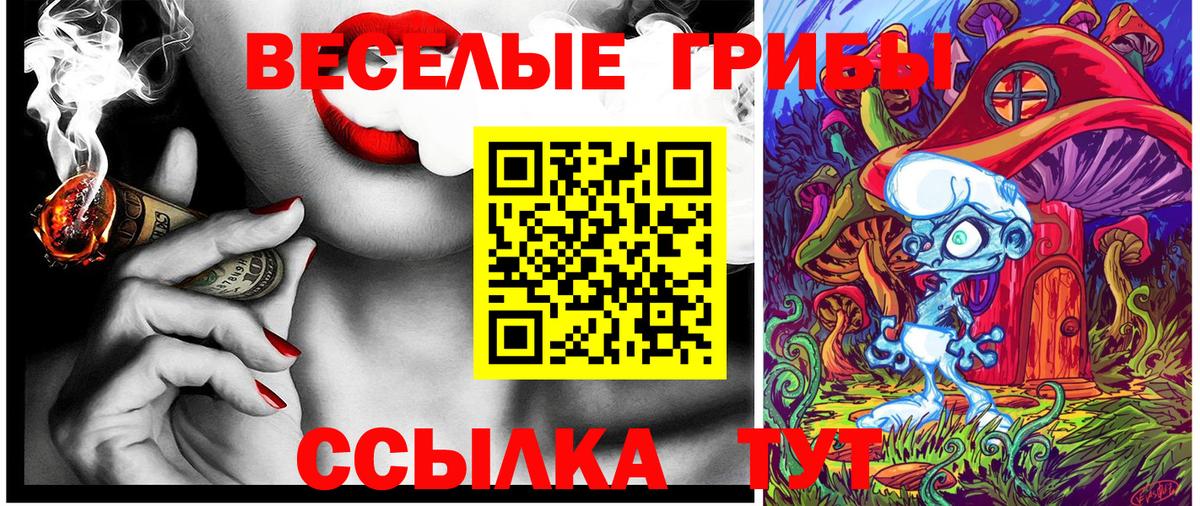 Псилоцибиновые грибы Psilocybine cubensis  где можно купить наркотик  Куйбышев  Вход с VPN 